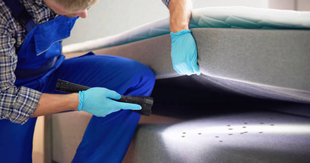 Best Pest Removal Services  in Vail, AZ